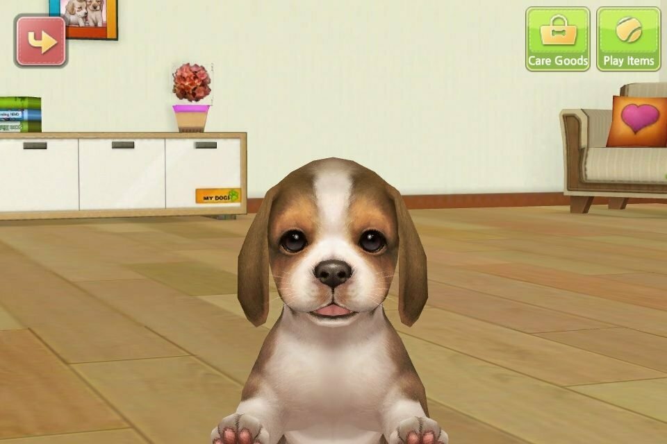 My Dog игра. Виртуальная собака. Виртуальный щенок. Реалистичные игры про собак.