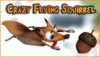 Crazy Flying Squirrel
